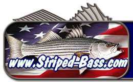 Striped-bass.com - All Striper Fishing, All The Time!