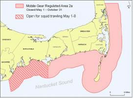 Squid Trawl Map