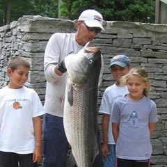 Striped Bass Striped Bass