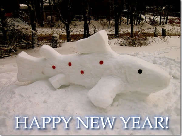 [Image: Roy-Snow-Fish2-hny600.jpg]