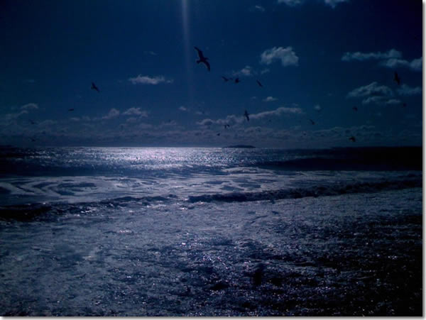 ffreak-cool1