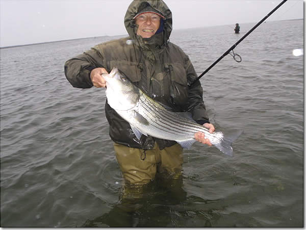 Hesh2 - Long Island Spring Keeper Stripers